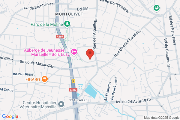 Ecoles Maternelles Publiques Bois Luzy
