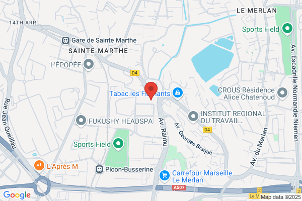 Ecoles Maternelles Publiques Professeur Emile Vayssiere I
