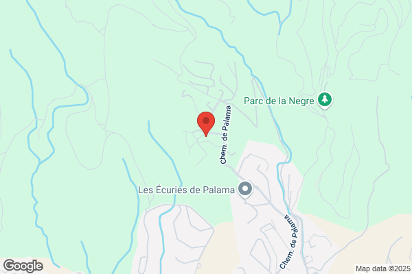 LA CHEVAUCHEE DE L ETOILE