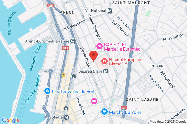 Centre Europeen De Sante Humanitaire De Lyon cesh