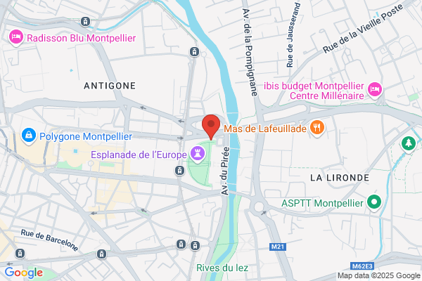 Etude Genealogique Bertrand Standard