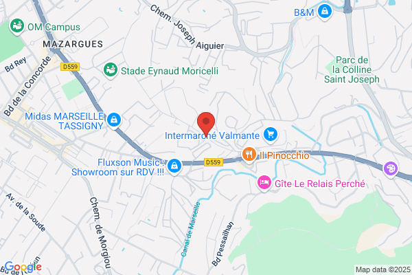 Informatique De Gestion Et Logiciels