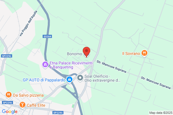 Bonomo Paul