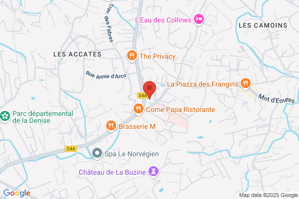 Dragees Reynaud Sa