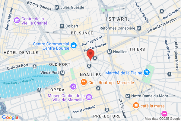 Civette Le Noailles