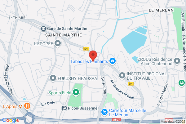 Diligence Service Paca