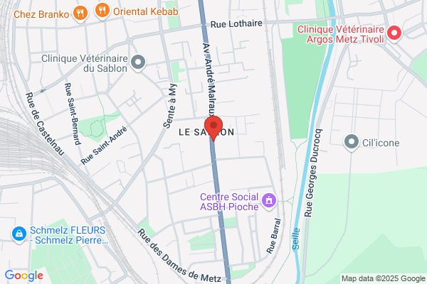 Cotorep