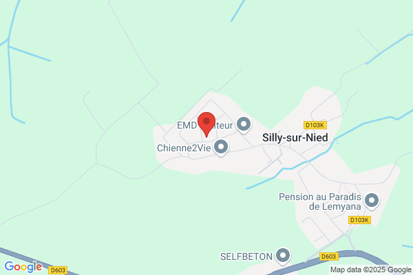 Guisot Denis