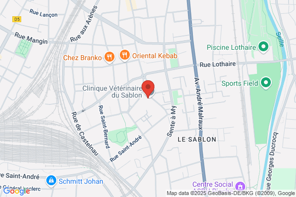 Clinique Veterinaire Joppin Yves Jeanpert Andre Salmon didie