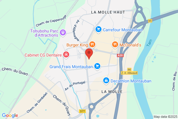 Action Montauban-Sud