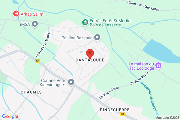 Cantaloube Michel