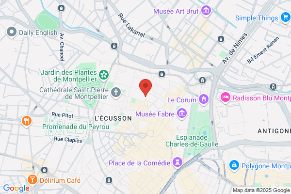 Commission Departementale De L Education Speciale Cdes accueil