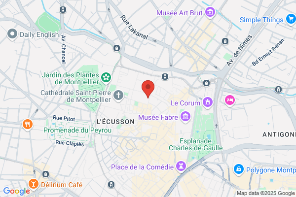 Commission Circonscription De L Education Specialisee Montpellie