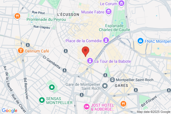 Bon Voyage Tours Standard