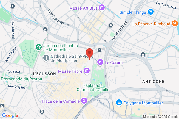 Consulat Des Pays Bas