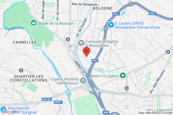 Bilicki Dhombres Osmo