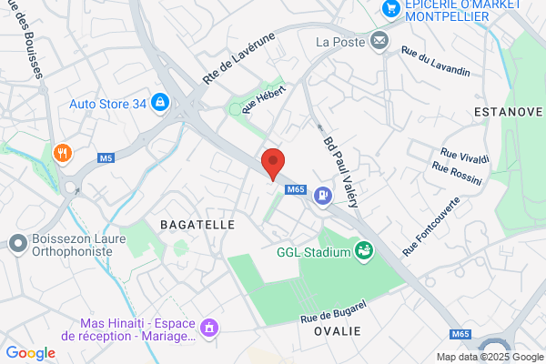Comite D Etablissement Renault