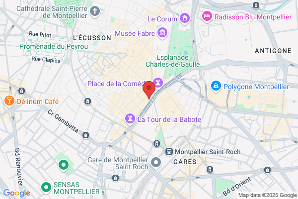 Conseil Des Professions Du Spectacle