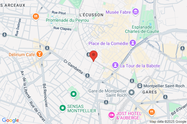 Audition Conseil