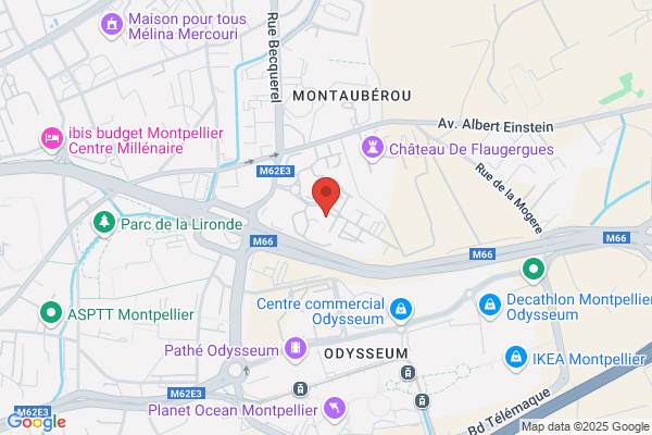Consultants Auditeurs Associes