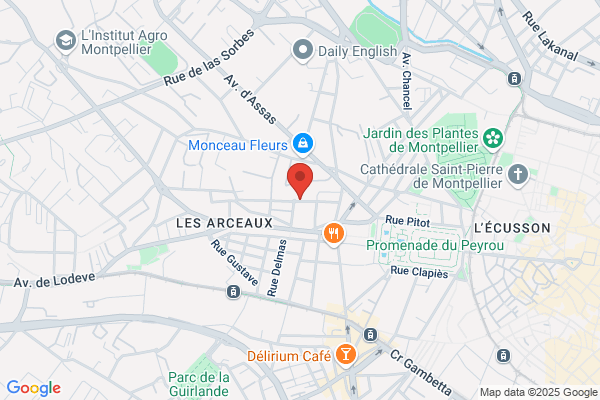 Avocats Et Juristes Sans Frontieres Association Standard