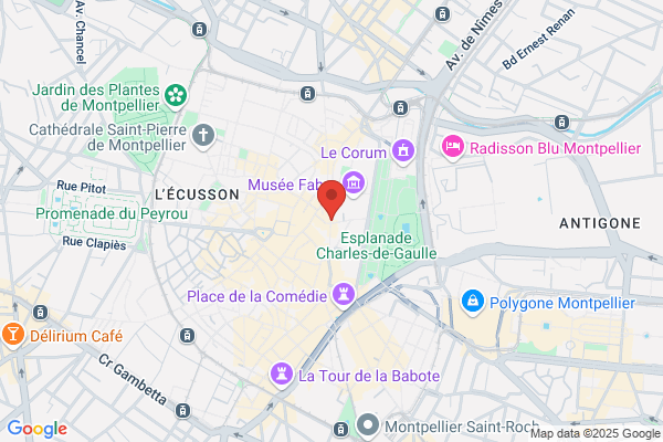 Bar Du Musee