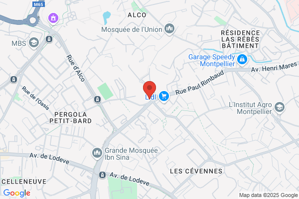 LVM Auto Montpellier