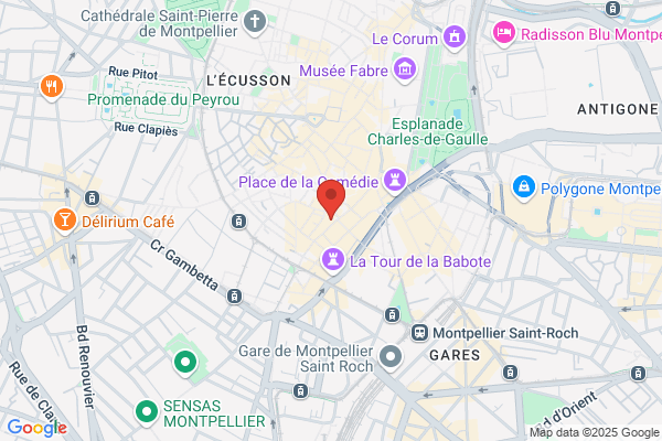 Chambre De Commerce Et D Industrie Cci Developpement Inte