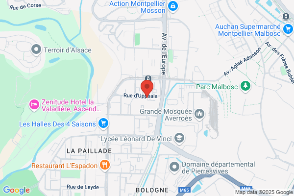 Centre De Loisirs Des Jeunes Montpellier Paillade