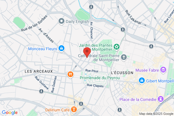 Congregation Des Soeurs De St Joseph