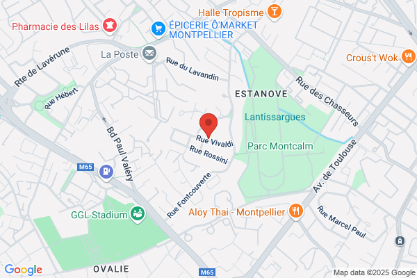 Des Pallieres Consultant