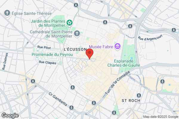 Cyathéa paysages