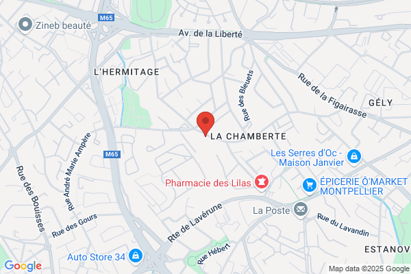 Ecoles Primaires Dante Alighieri