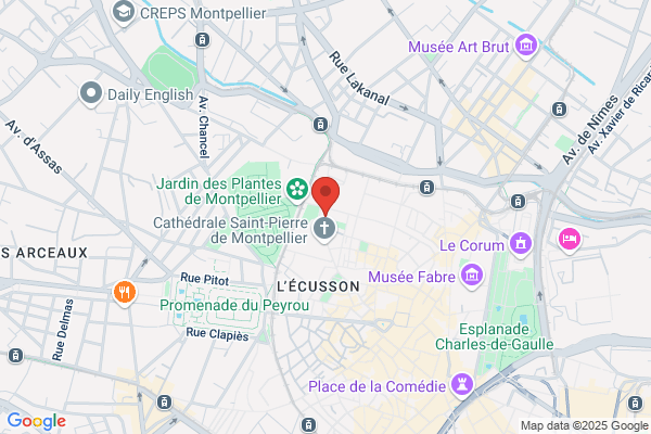 Faculte De Droit Directeur Iretij