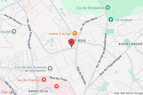 Alimentation Snack Vert Bois