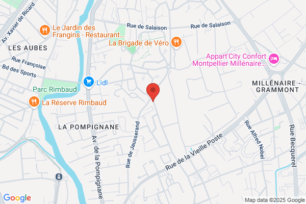 Brgm Service Geologique Regional