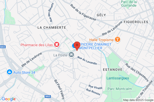 Amplifon Audioprothésiste Montpellier Estanove