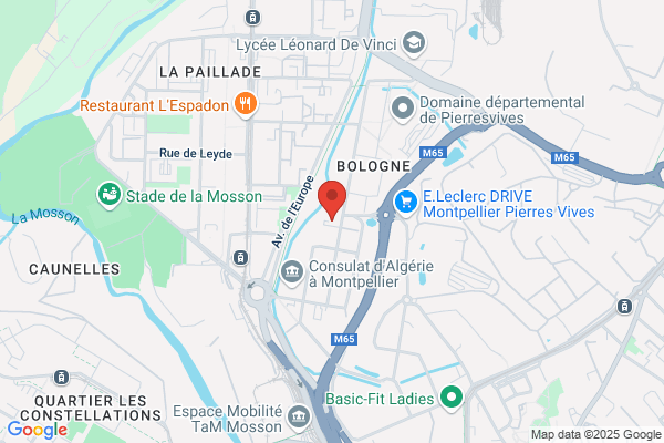 High Informatique Conseil Developpement Formation Point Co