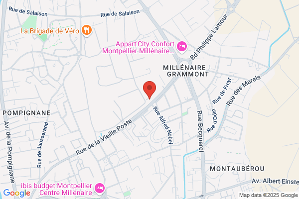 Ingenierie Services Conseils Expert