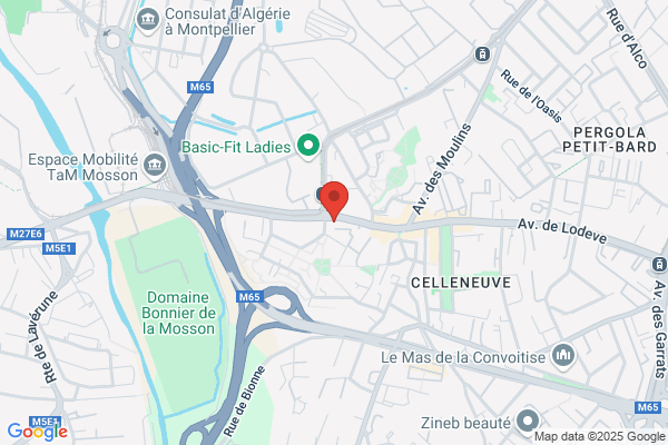 Cjo Services