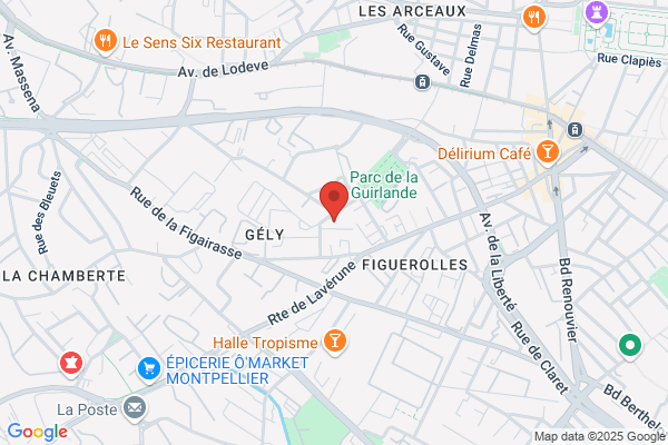 Ramouncho et les Gipsys