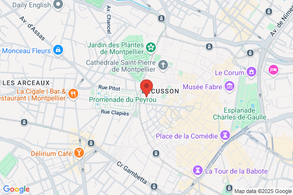 Chambre Des Avoués Pr¦s La Cour Dappel De montpellier