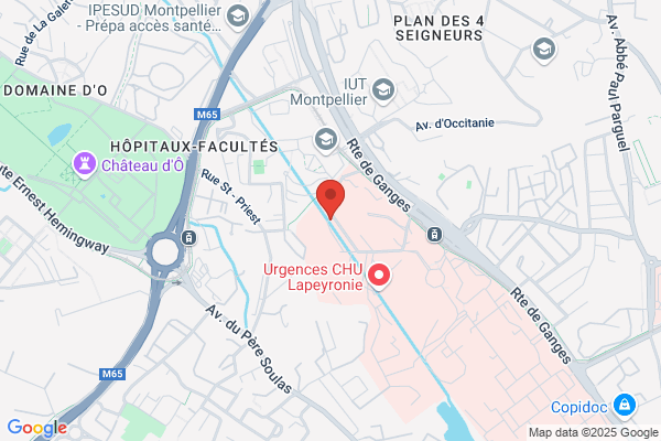 Inserm Laboratoires Unite 454 Immunopathologie De L asthme