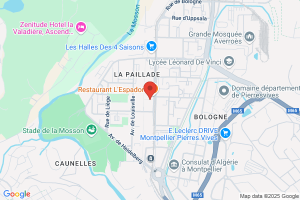Bibliotheques Municipales De Quartier Salle Louis Feuillade