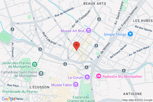 Delices Des Beaux Arts