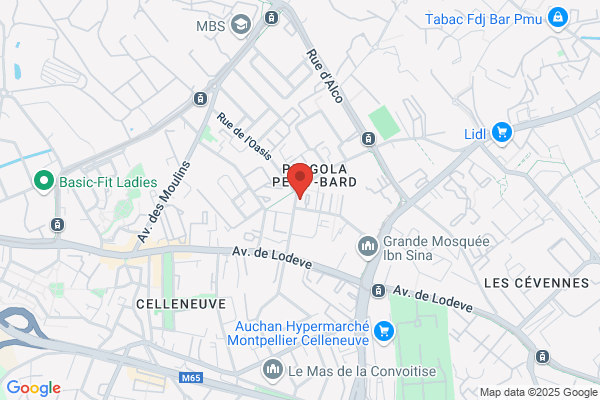 Relais Pickup