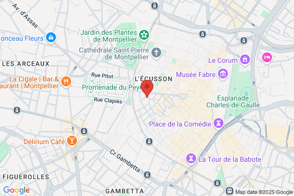 Entreprise Chanot