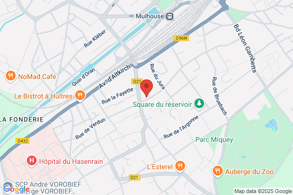 Cortex Lci
