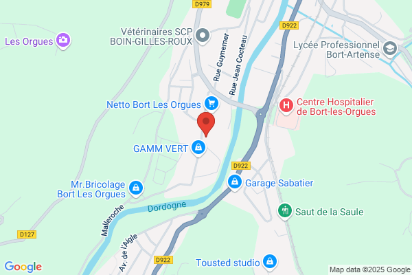 Sécuritest Contrôle Technique Automobile BORT LES ORGUES