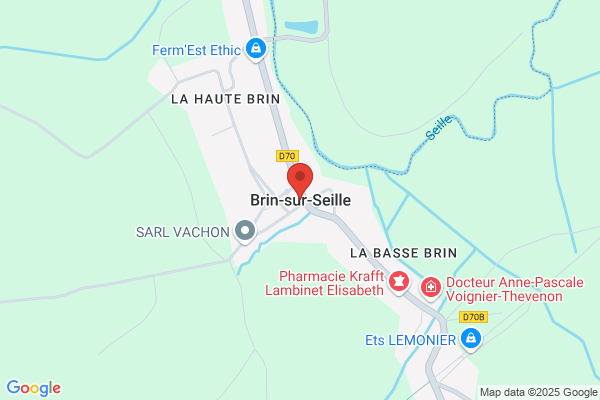 Brin Frederic